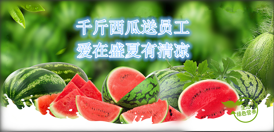 通達(dá)軟件公司： 千斤西瓜送員工，愛在盛夏有清涼
